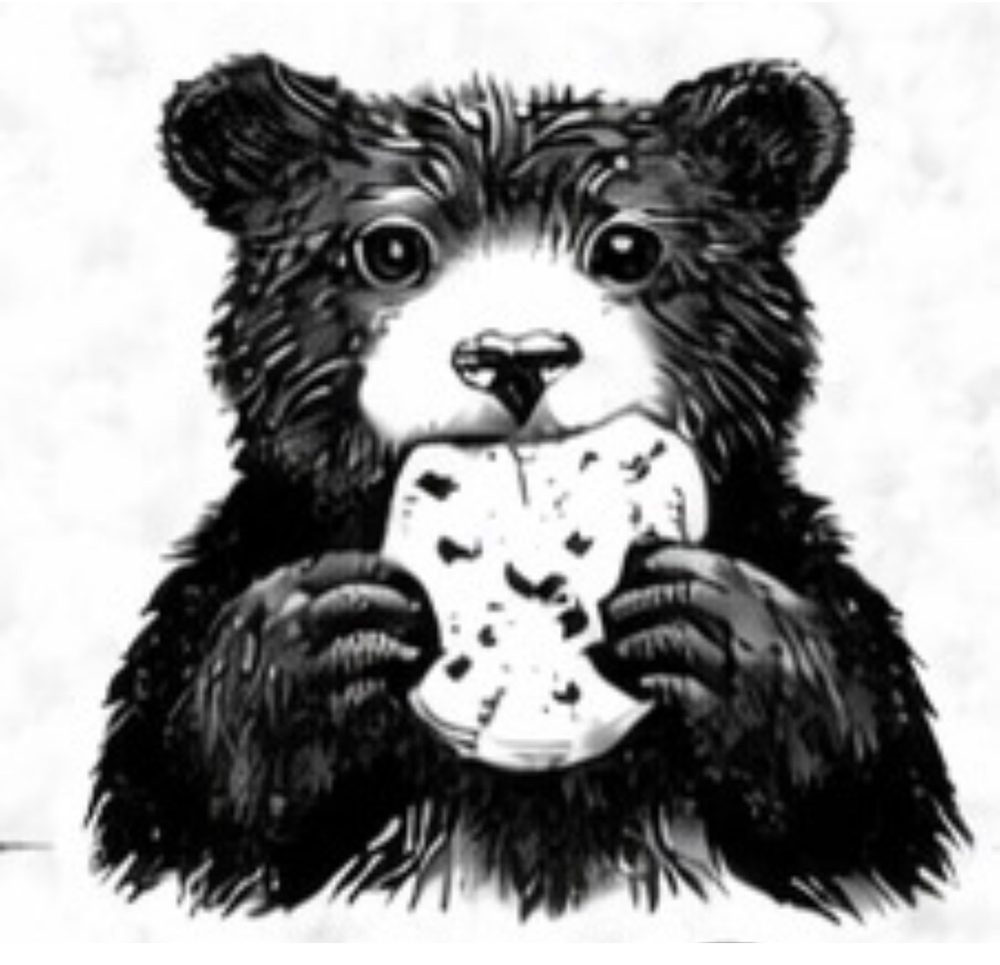 Illustrated bear cub eating a chocolate chip cookie